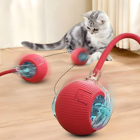 Interactive Cat Toy, Automatic Rolling Ball Cat USB Rechargeable, Antistress Indoor Toys for Cats, Electric Cat Ball Toy