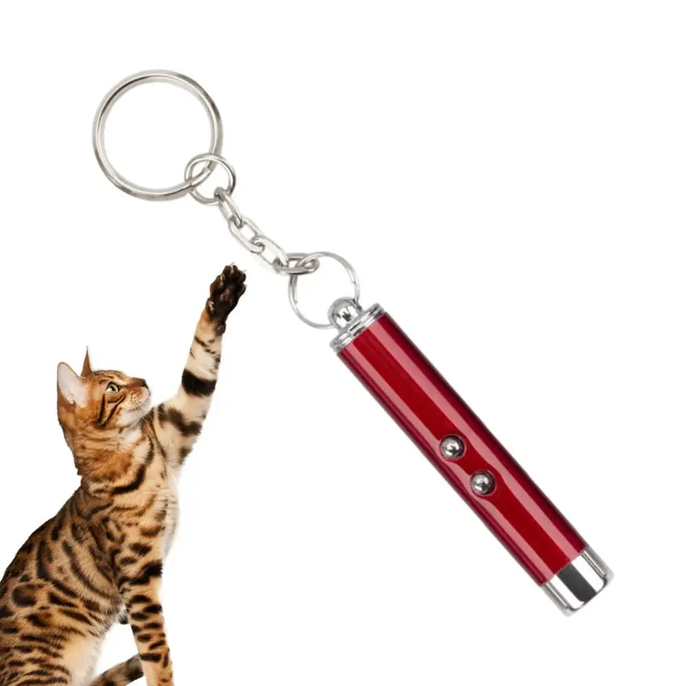 Laser Pointer For Cats Interactive Cat Laser Toy Pet Enrichment Toys For Indoor Cat To Play And Exercise
