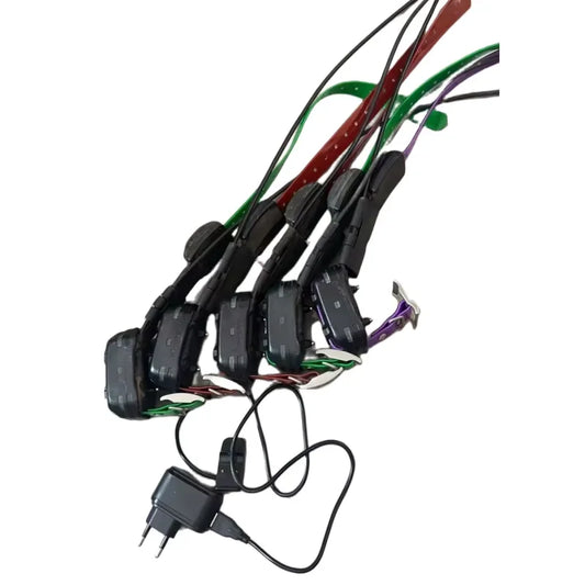 Garmin Mini TT15 Dog Tracking Collars With Charger Collar Garmin Mini TT15