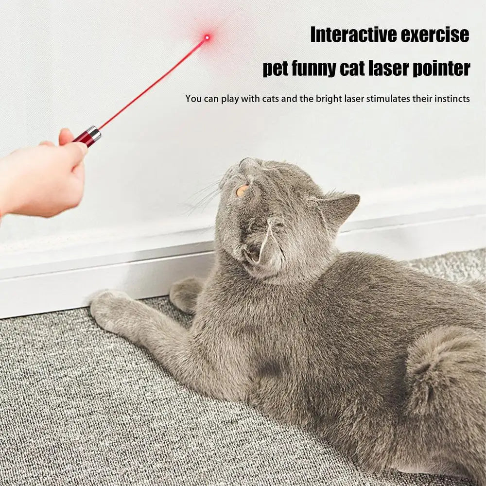 Laser Pointer For Cats Interactive Cat Laser Toy Pet Enrichment Toys For Indoor Cat To Play And Exercise
